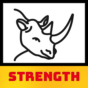 Provides You Strength